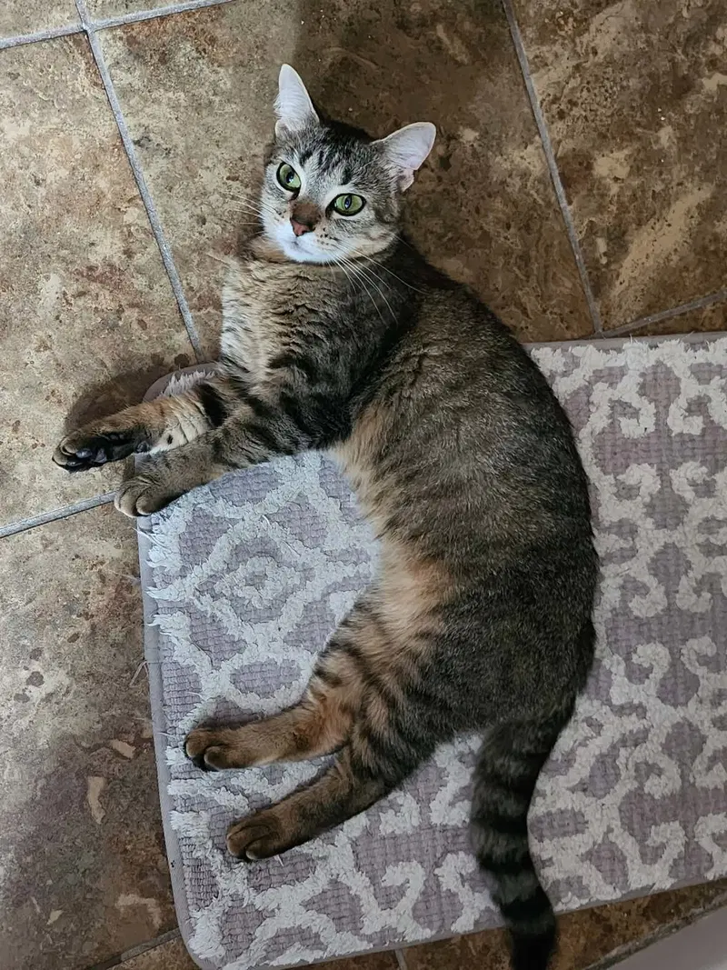 Tabitha, photo 3