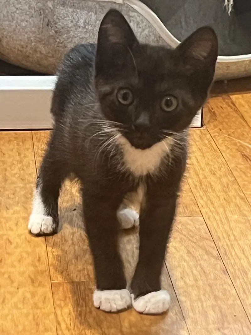 Mocha Nagle, photo 4