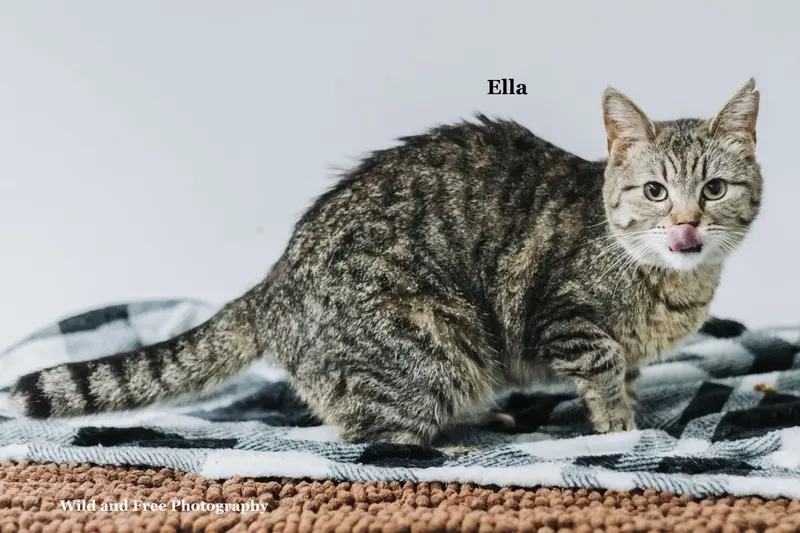 Ella, photo 2