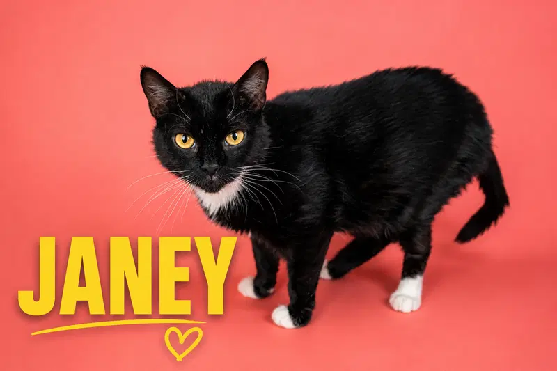 Janey, photo 6