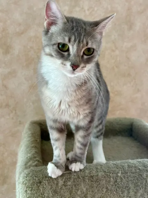 Minnie, photo 2