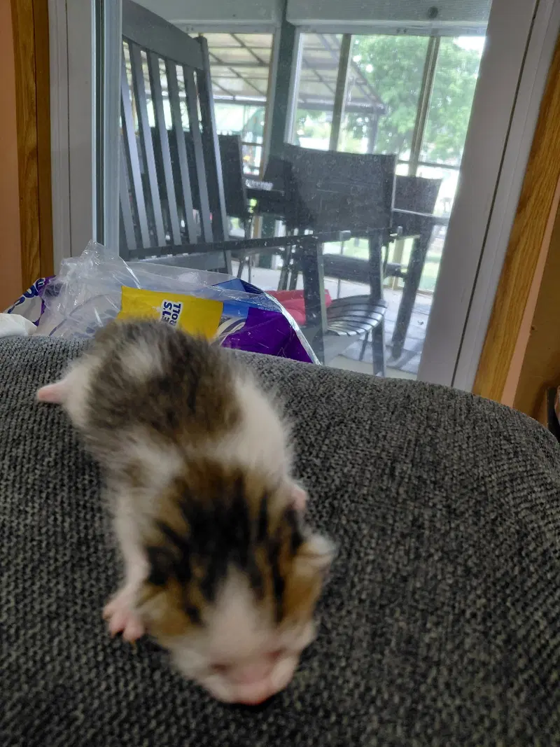 Lily G., photo 2