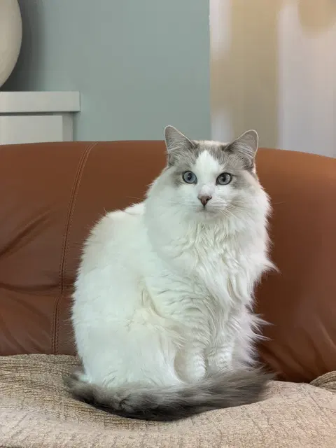 Watch the video of Lucy