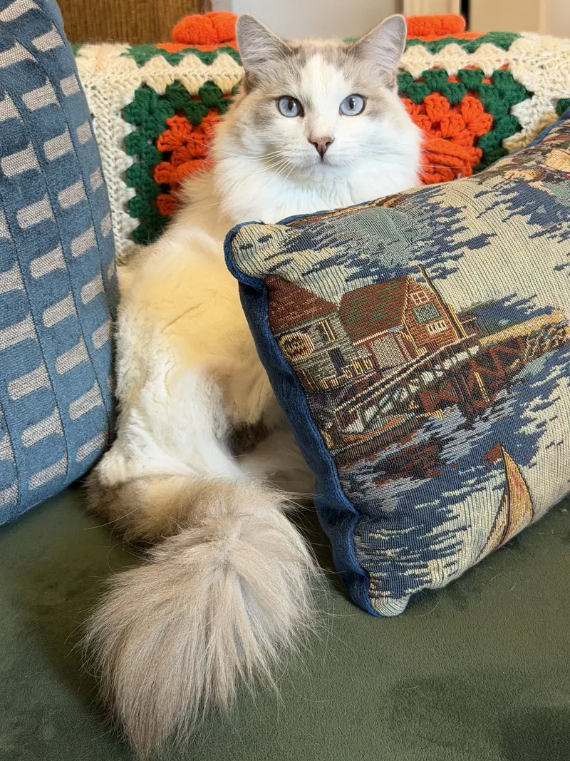 Lucy, photo 2