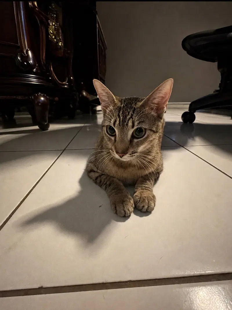 COURTESY POST: Cutie, photo 2