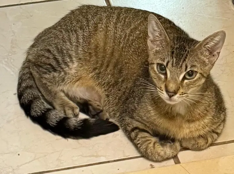 COURTESY POST: Cutie, photo 3