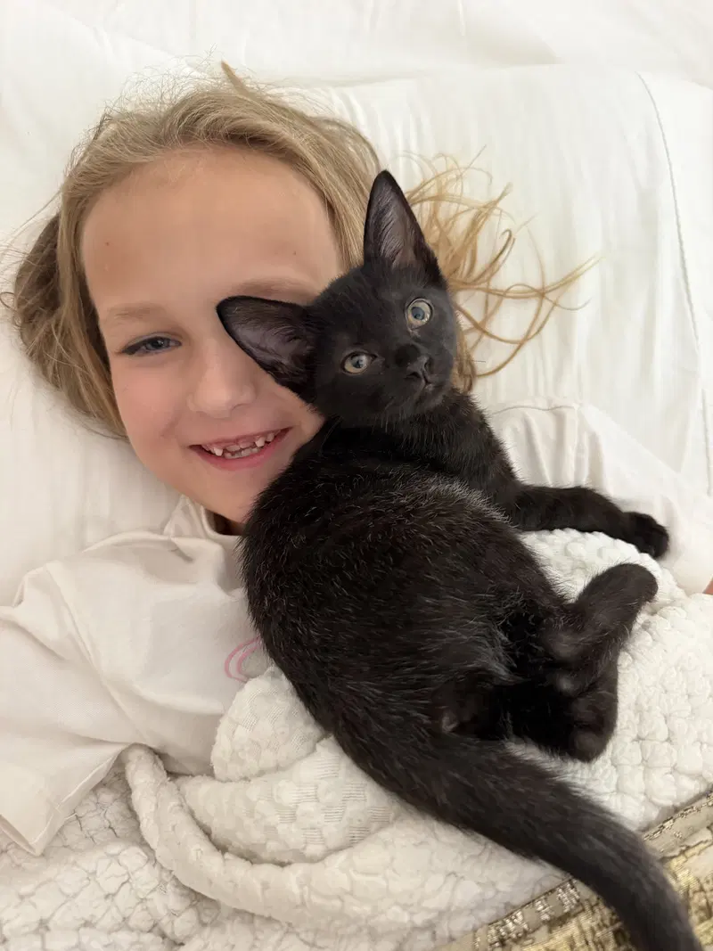 Olivia, photo 9