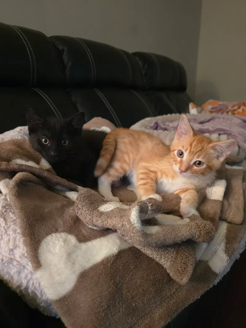 Wally and Ralphie, photo 2