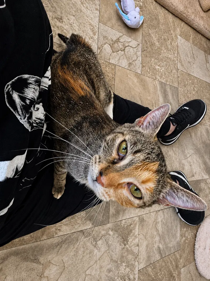Delilah, photo 6