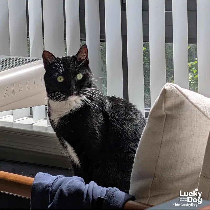 Libby, photo 2