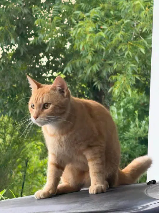 Butters, photo 3