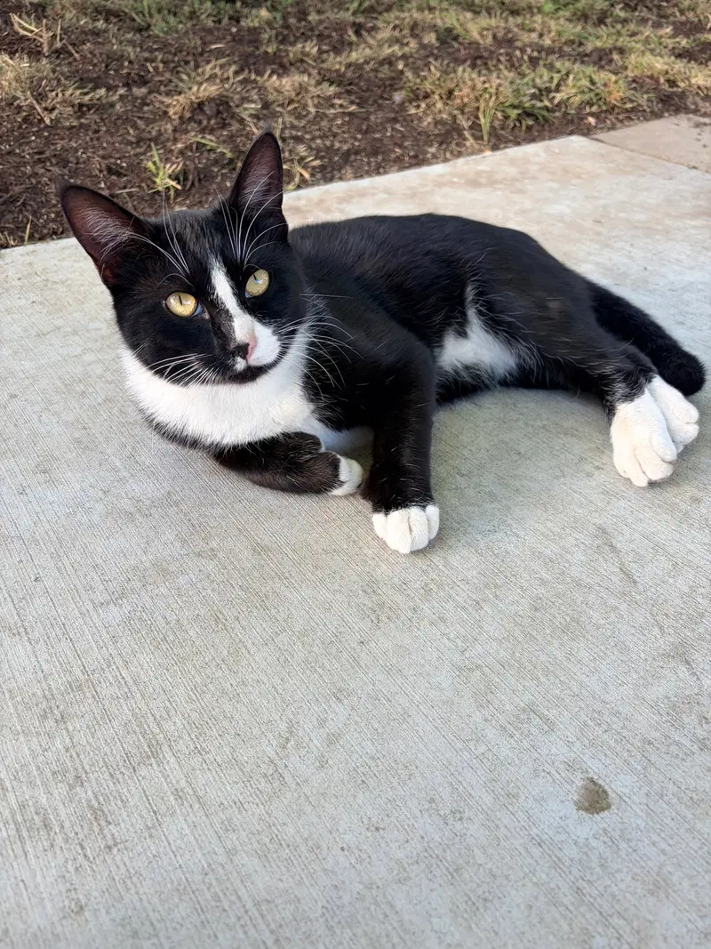Earl & Gray, photo 2