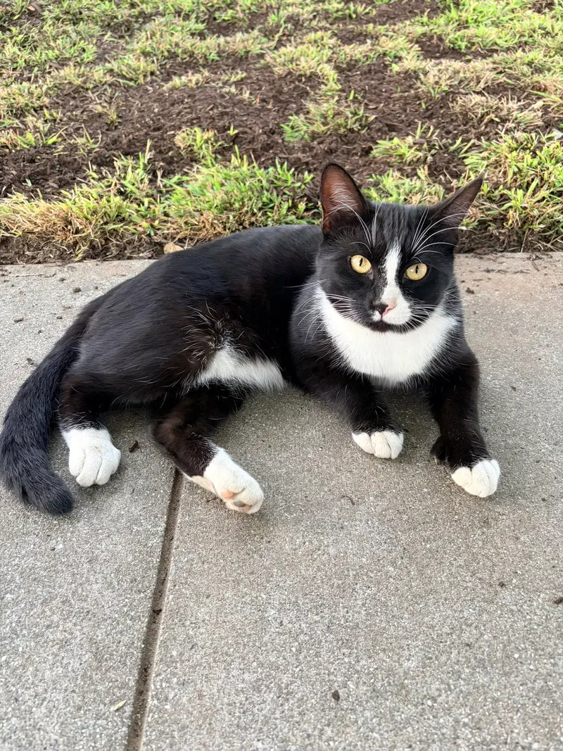 Earl & Gray, photo 4