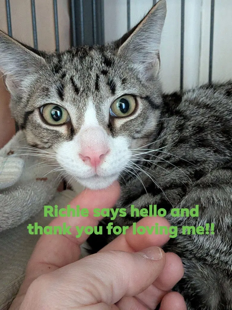 Richie, photo 2