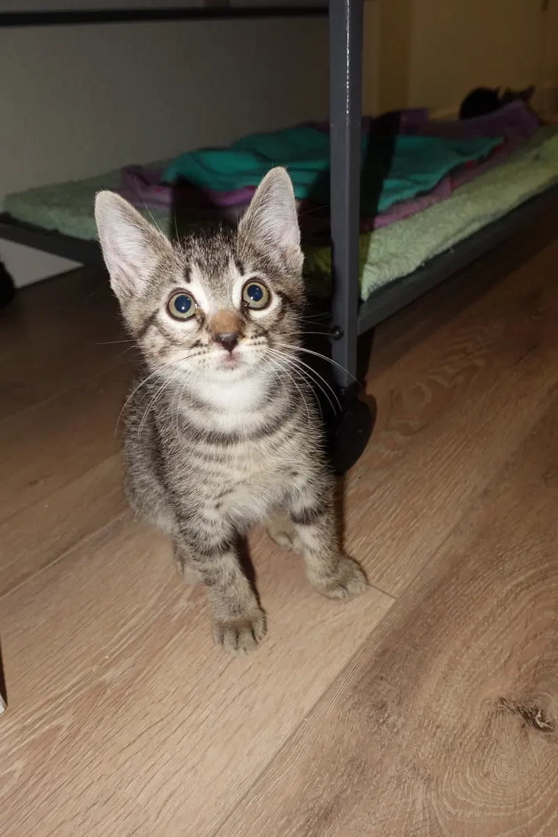 Rudy, photo 2