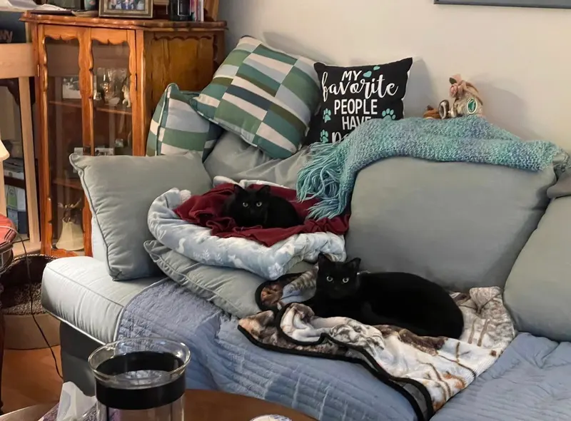 Chazzy & Ollie, photo 7