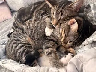 Bonkers & Dottie, photo 2