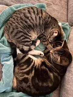 Bonkers & Dottie, photo 3