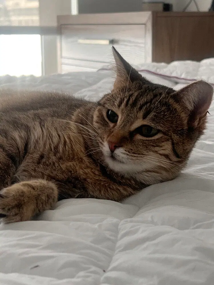Tiny Hermione, photo 3