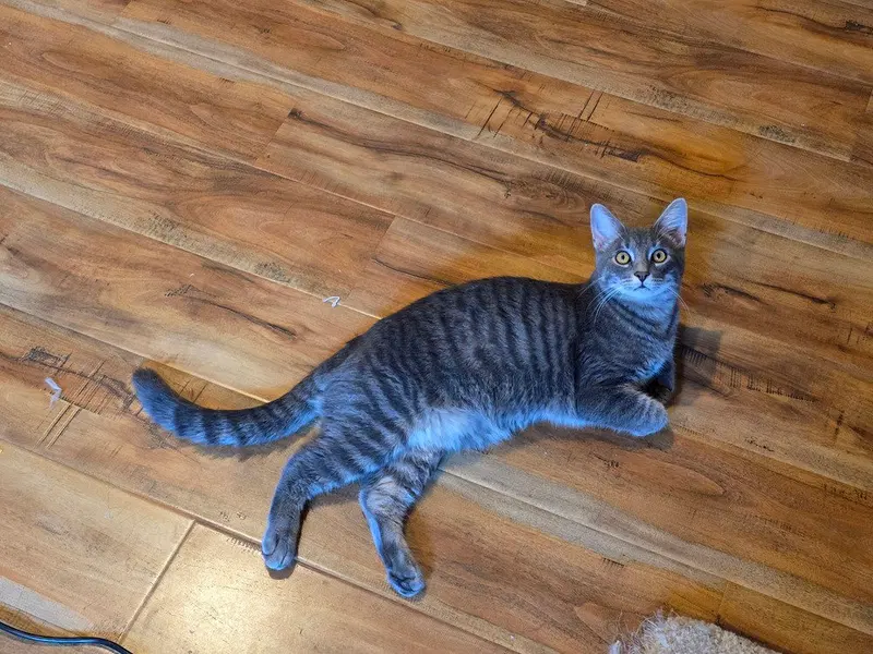 Cobalt, photo 4