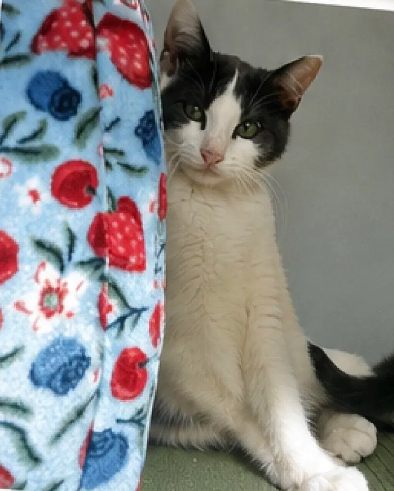 Rosie Posie, photo 2