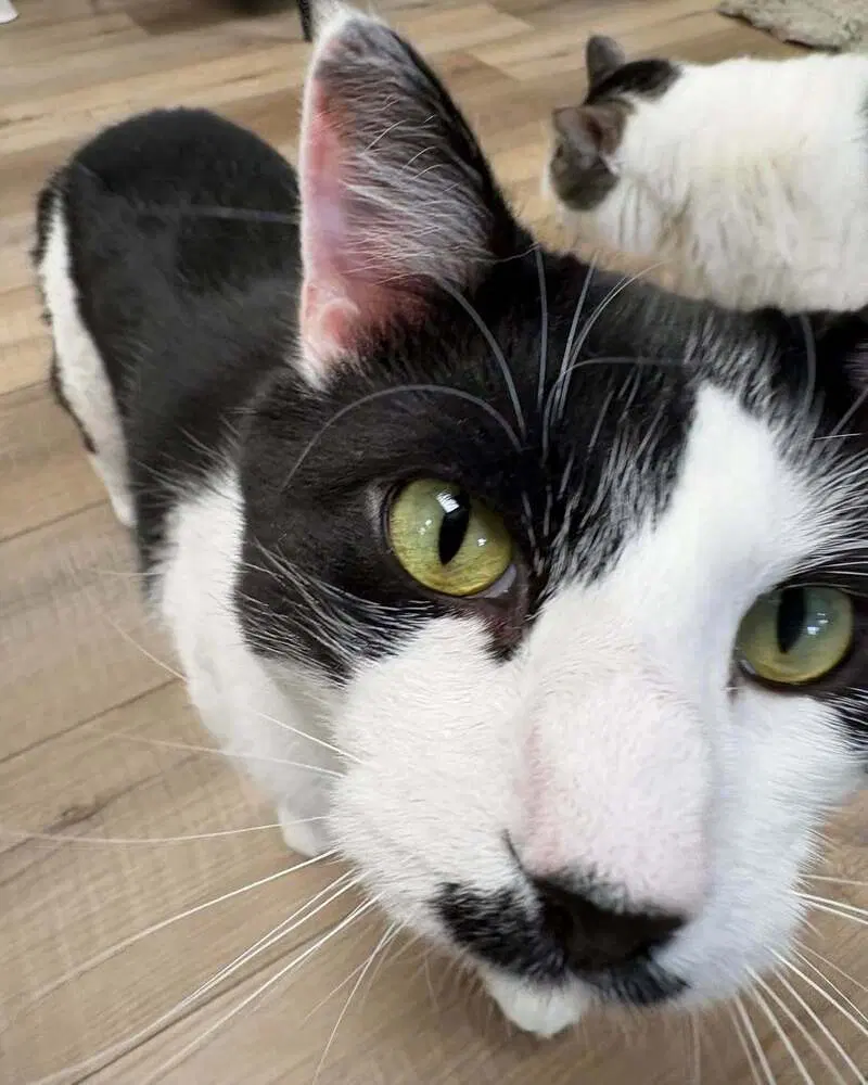 Twister Branch, photo 3