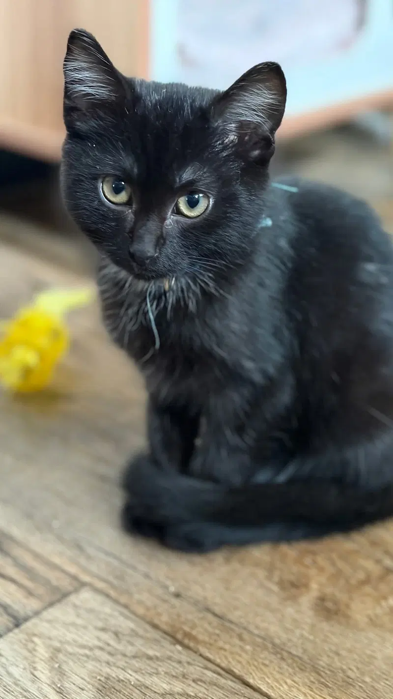Not so Whitey, photo 4