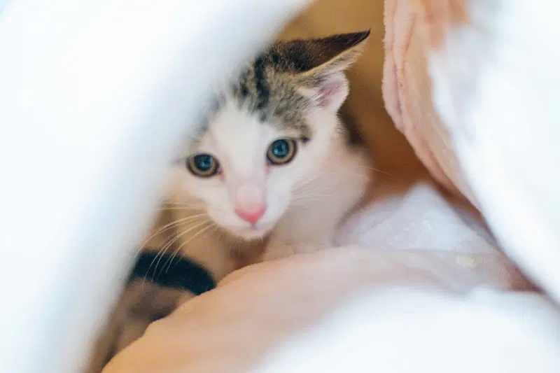 Bill, photo 2