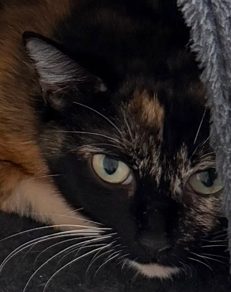 Wilma, photo 7