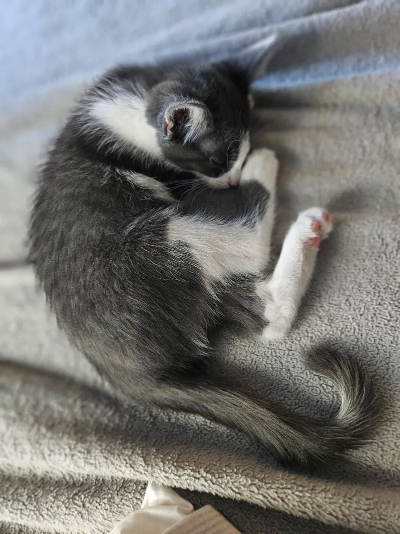 Catrick Swayze, photo 2