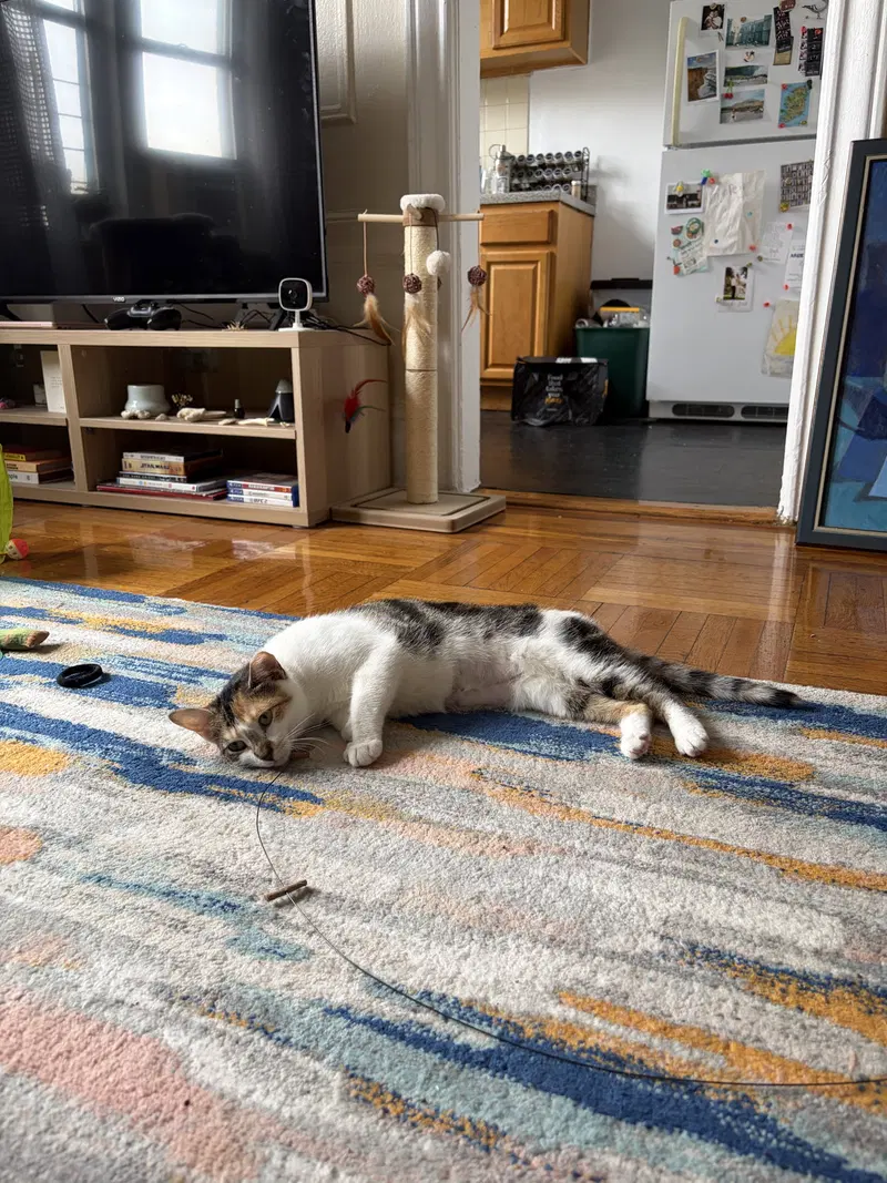 Margo, photo 2