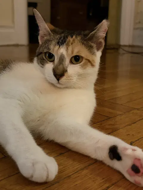 Watch the video of Margo