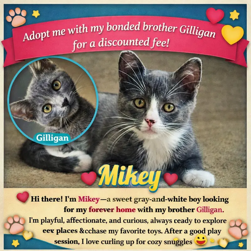 Mikey, photo 4