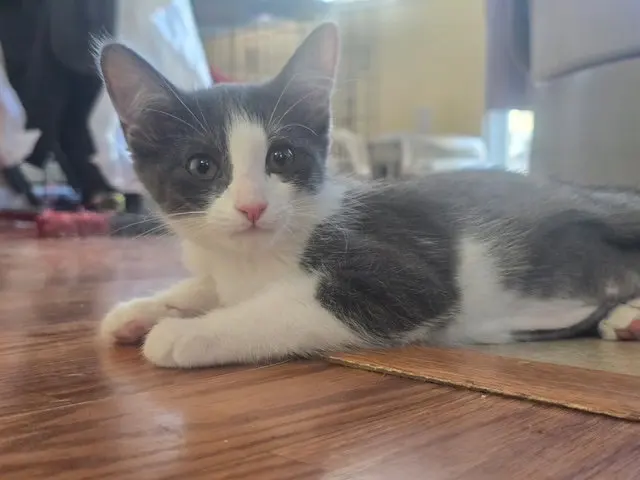 Catrick Swayze, photo 3