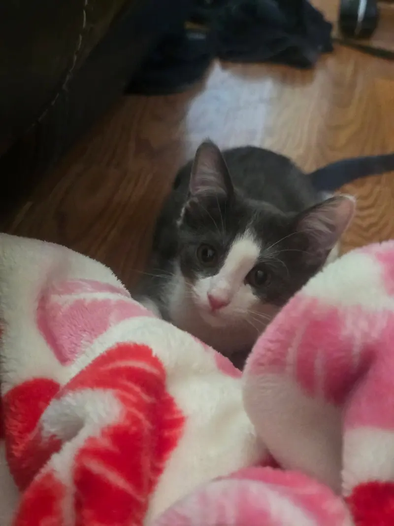 Catrick Swayze, photo 4
