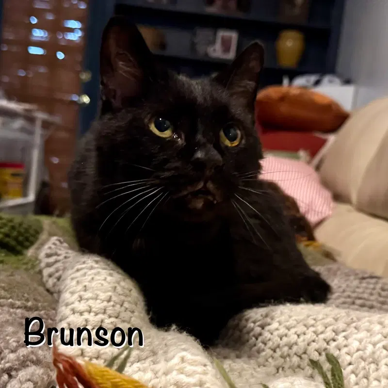 Brunson, photo 2