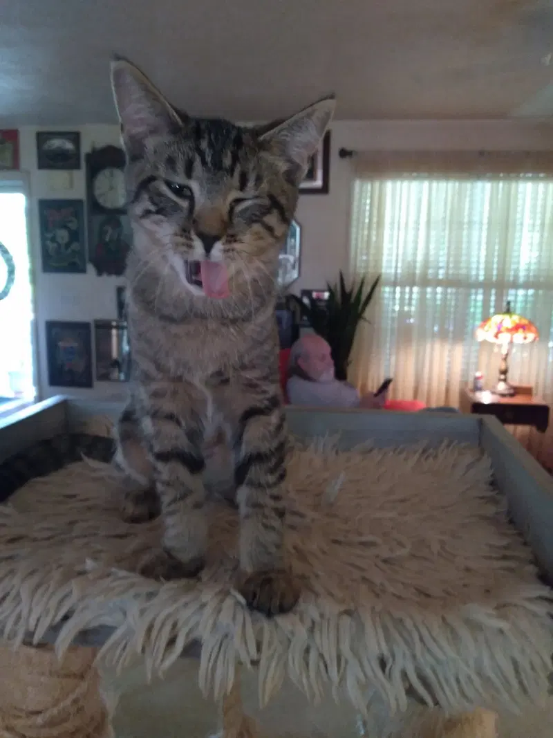 Gabby, photo 5