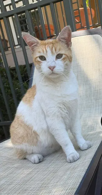 Walter, photo 2