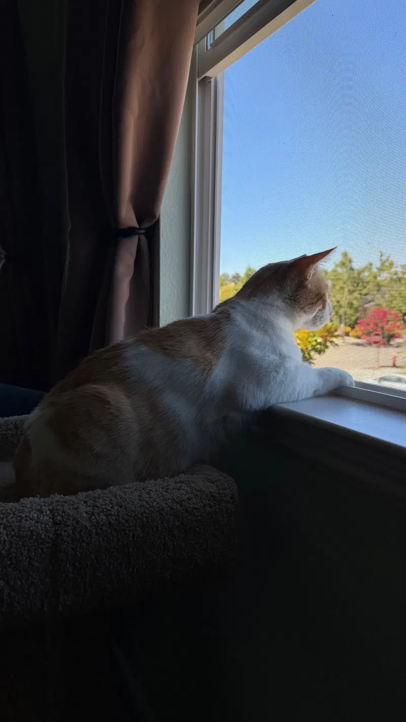 Walter, photo 3