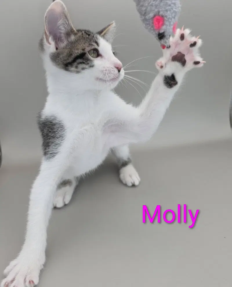 Molly 3.30.26, photo 3