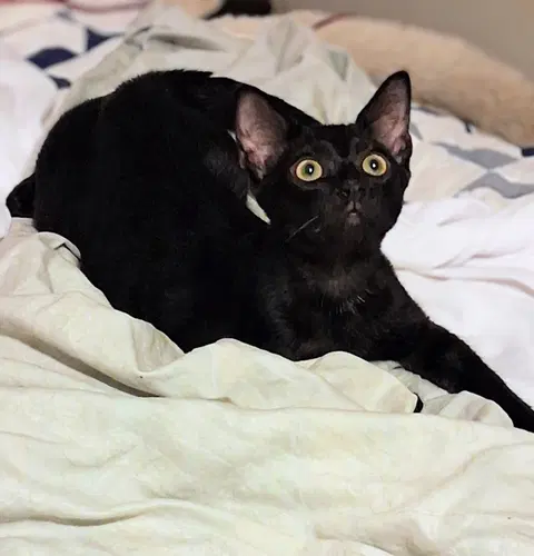 Watch the video of Cecil & Ernest