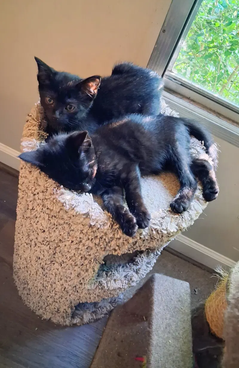 Cecil & Ernest, photo 4