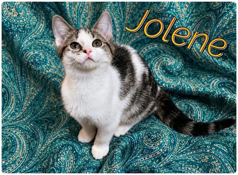 Boots and Jolene, photo 2