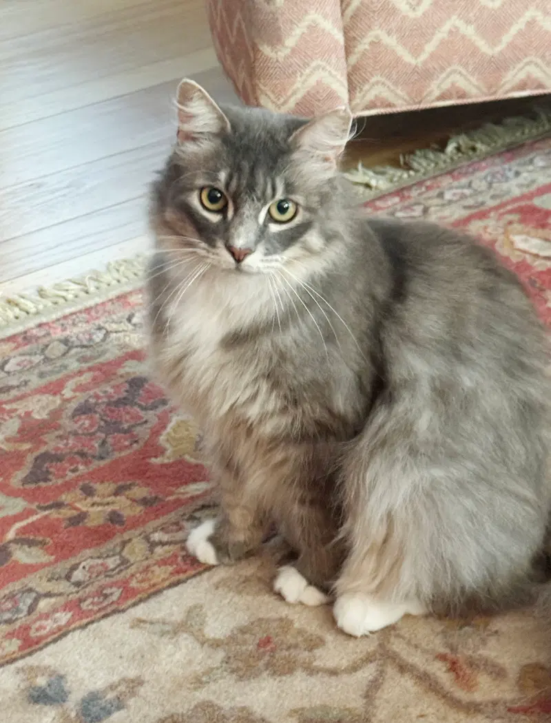 Tucker, photo 5