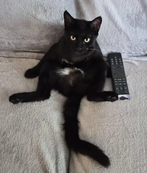 Watch the video of cinder