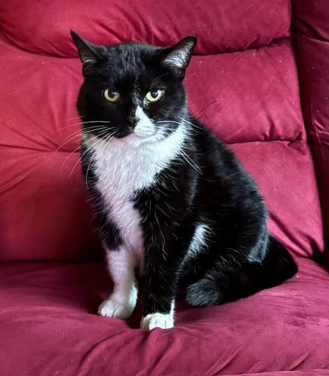 Nettie, photo 3
