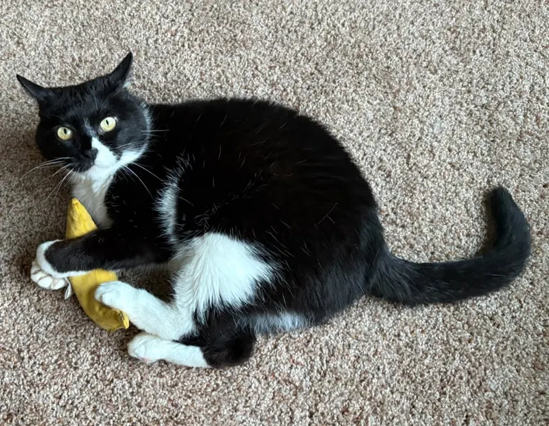 Nettie, photo 5