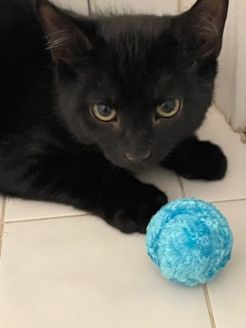 Atlas, photo 3