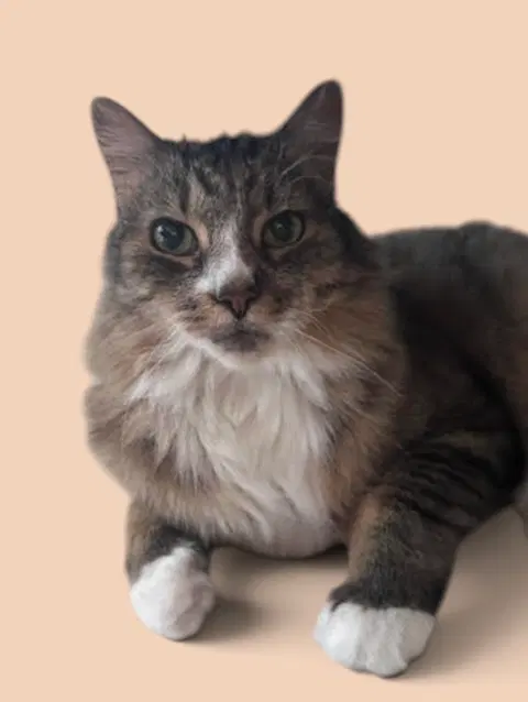 Watch the video of Rumpy