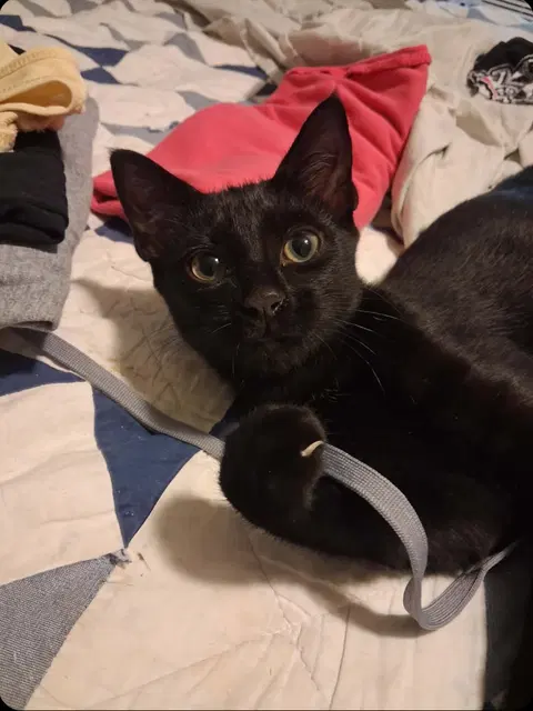 Watch the video of Ernest & Cecil